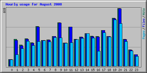 Hourly usage for August 2008